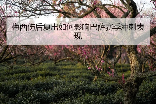 mei-xi-shang-hou-fu-chu-ru-he-ying-xiang-ba-sa-sai-ji-chong-ci-biao-xian-1-253.jpg